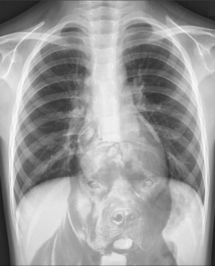 lord skinny nigga photo