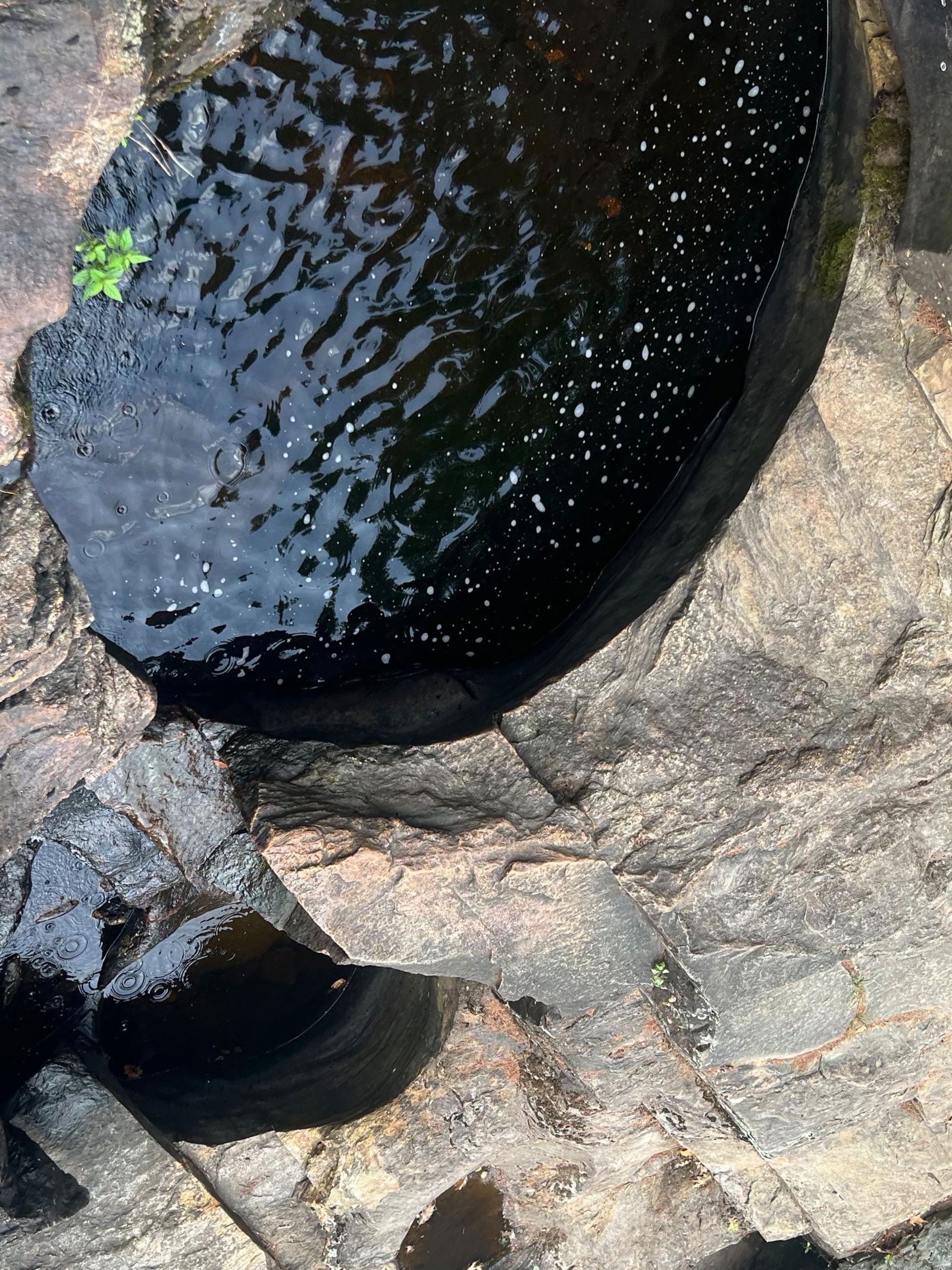 BIG HEART, lil patience photo