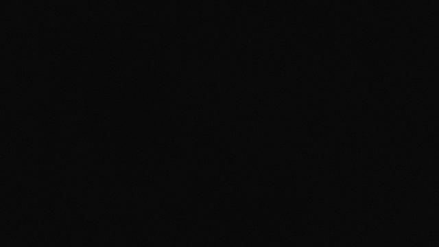 Anastasia Barjavel photo