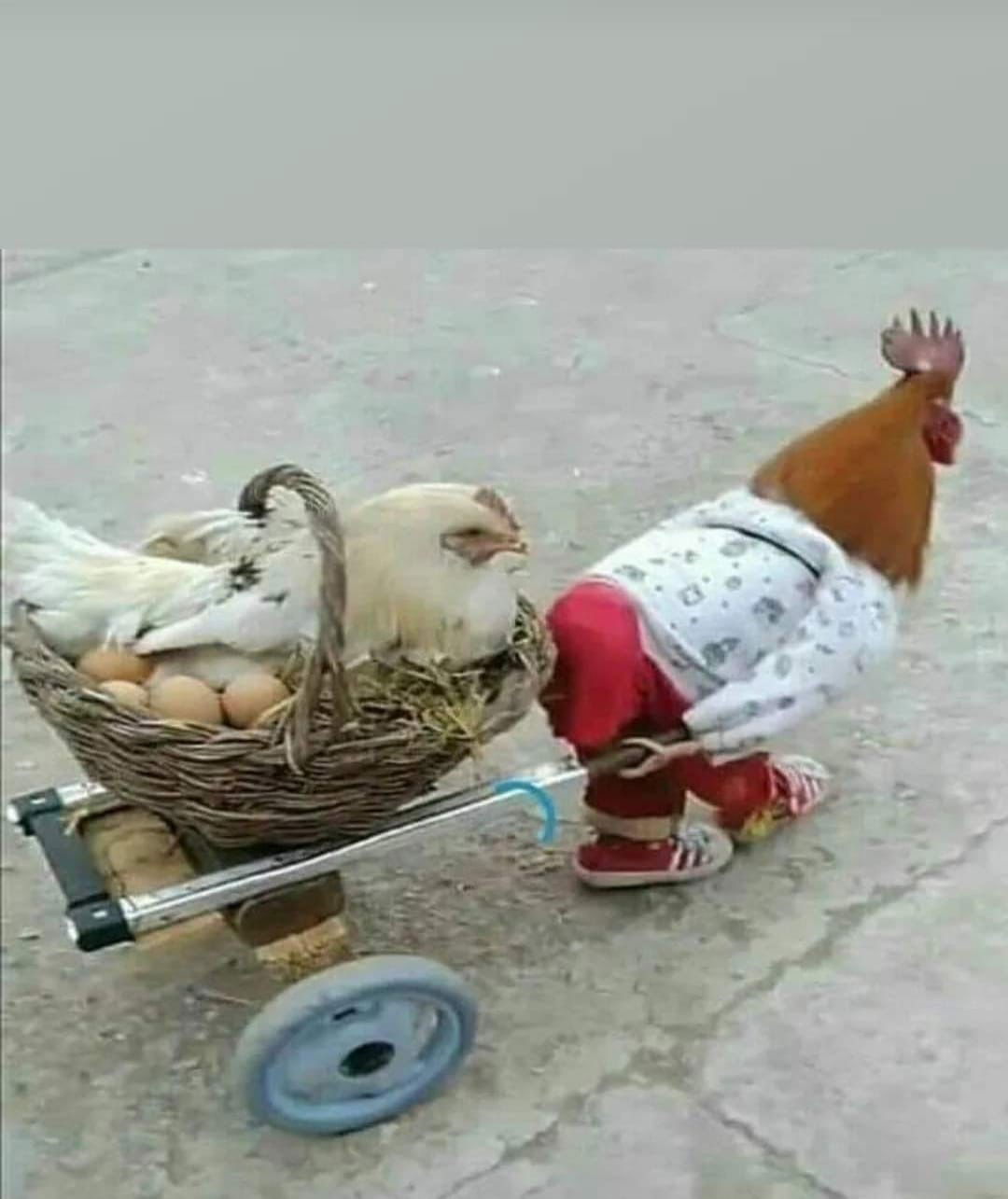 Matilda, Matilda și Matilda! photo