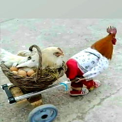 Matilda, Matilda și Matilda! photo