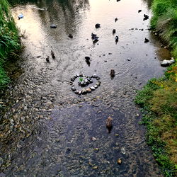 Cristina Boriceanu photo