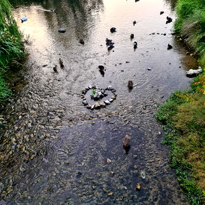 Cristina Boriceanu photo