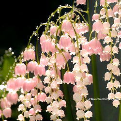 Strawberry milkshake babe ๐ photo