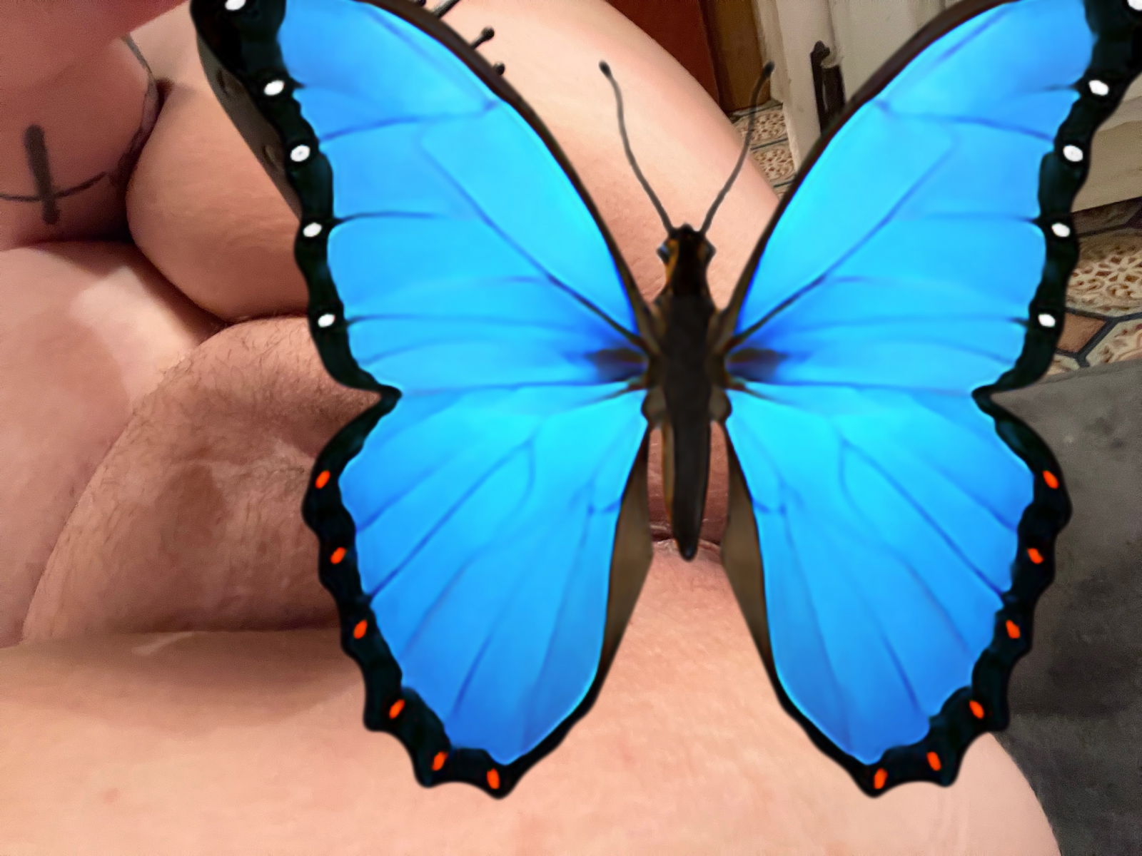 BisexualBrat🏳️‍🌈😘💲🆓 photo