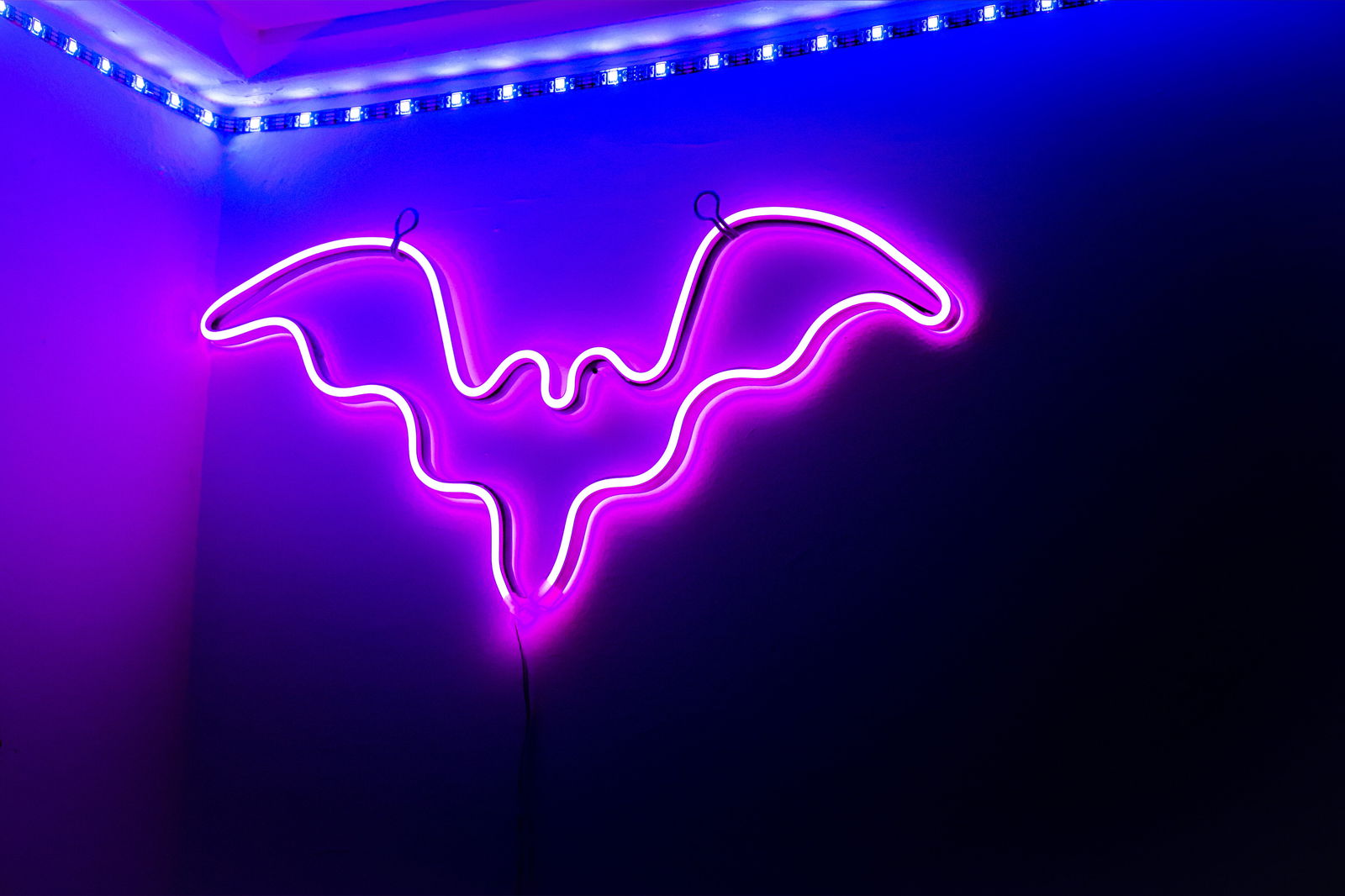 Karma Sutra🕷️ photo