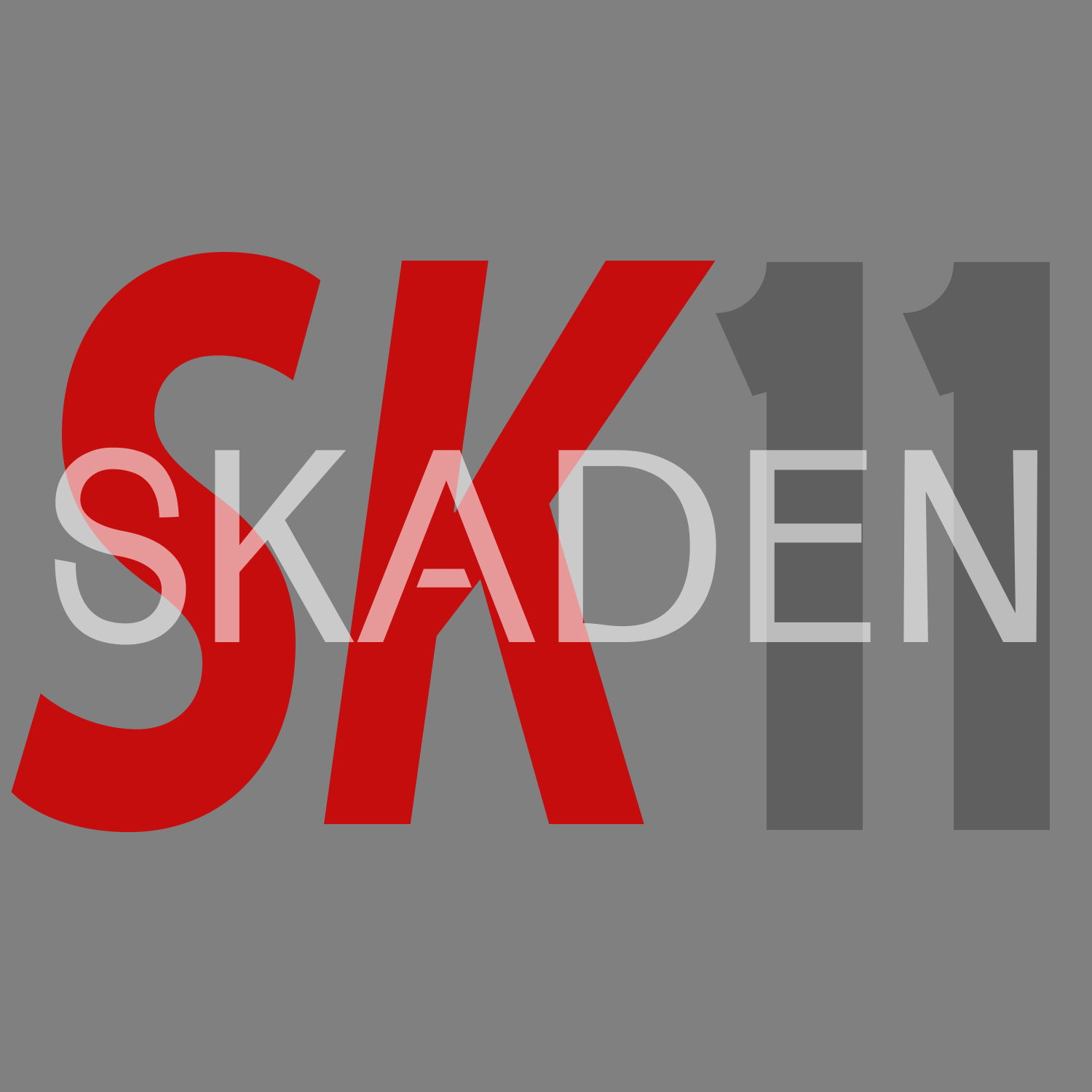 Skaden11 photo