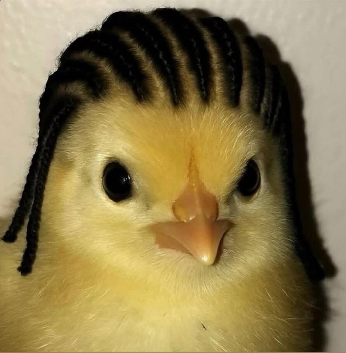 it’s a MIRACLE 💦 💦 photo