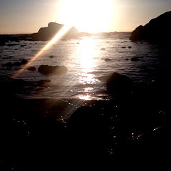 Ailynn Sanchez photo