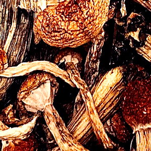 AllesNakedAgain photo