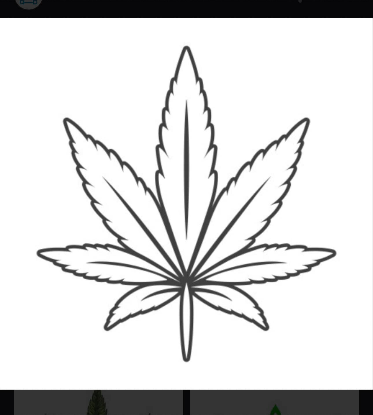 thickbootywife photo