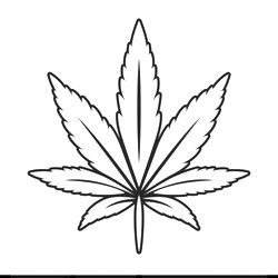 thickbootywife photo