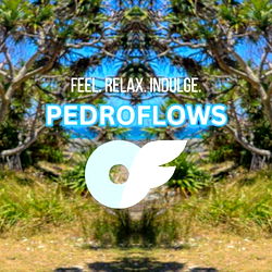 Pedro Flows photo