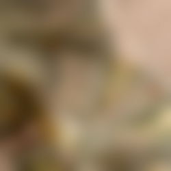 Egyptian goddess photo