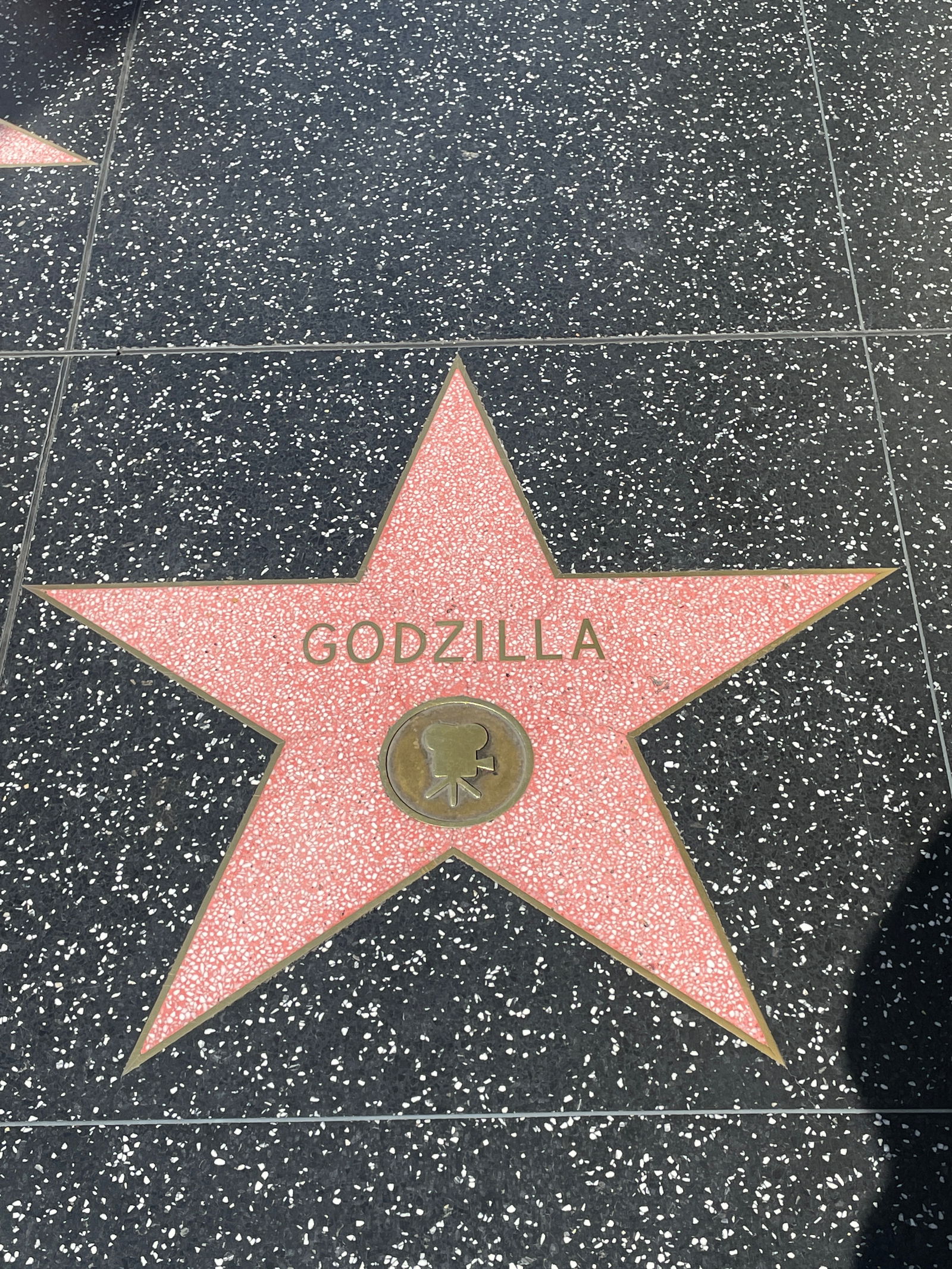 Hisfavouritelady photo