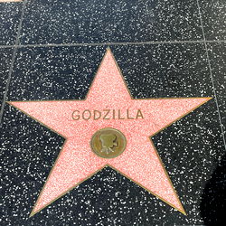 Hisfavouritelady photo