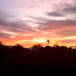 Latรญn Boy photo