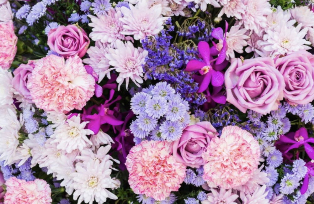 ?Geovanna Blasi? photo