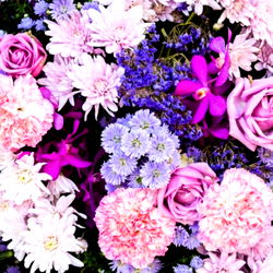 ?Geovanna Blasi? photo