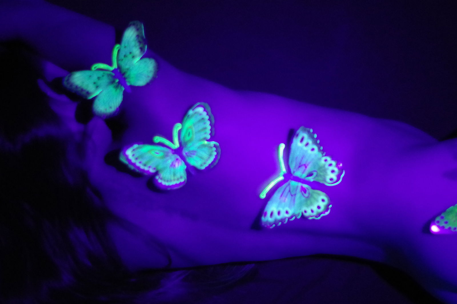 Elite Private Portfolio photo