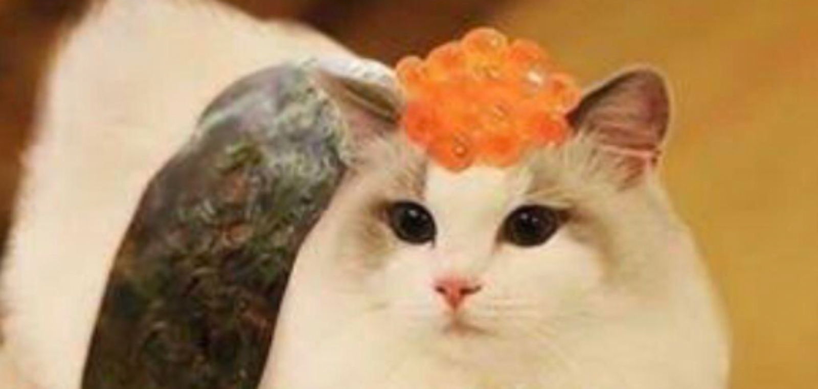 Christina Parrish photo