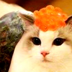 Christina Parrish photo