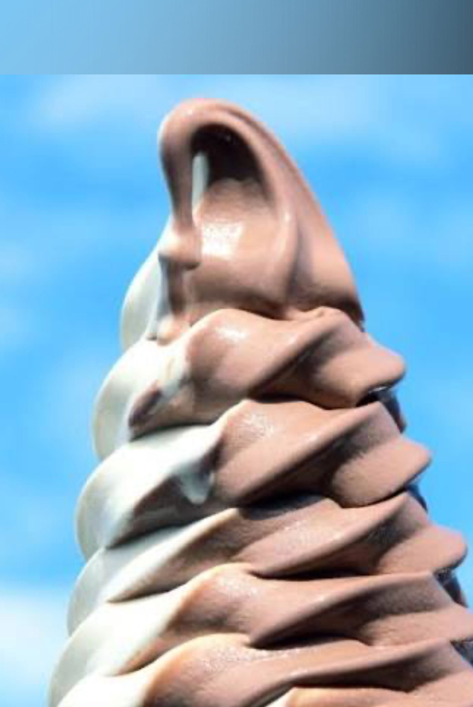 CoCo &amp; Vanilly Co photo