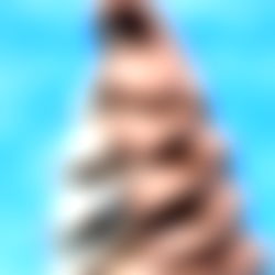 CoCo & Vanilly Co photo