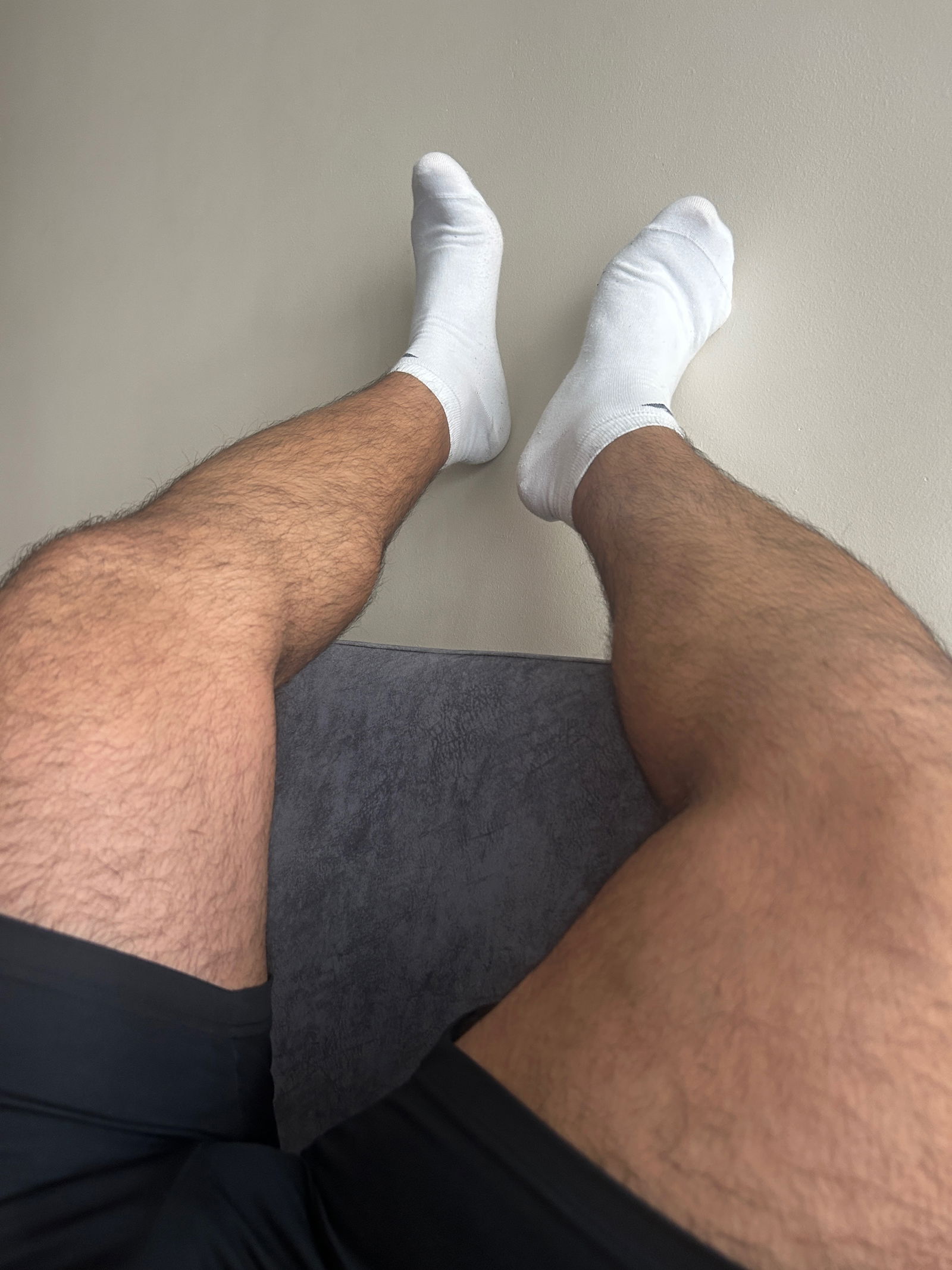 Gold King Bear photo