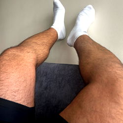 Gold King Bear photo