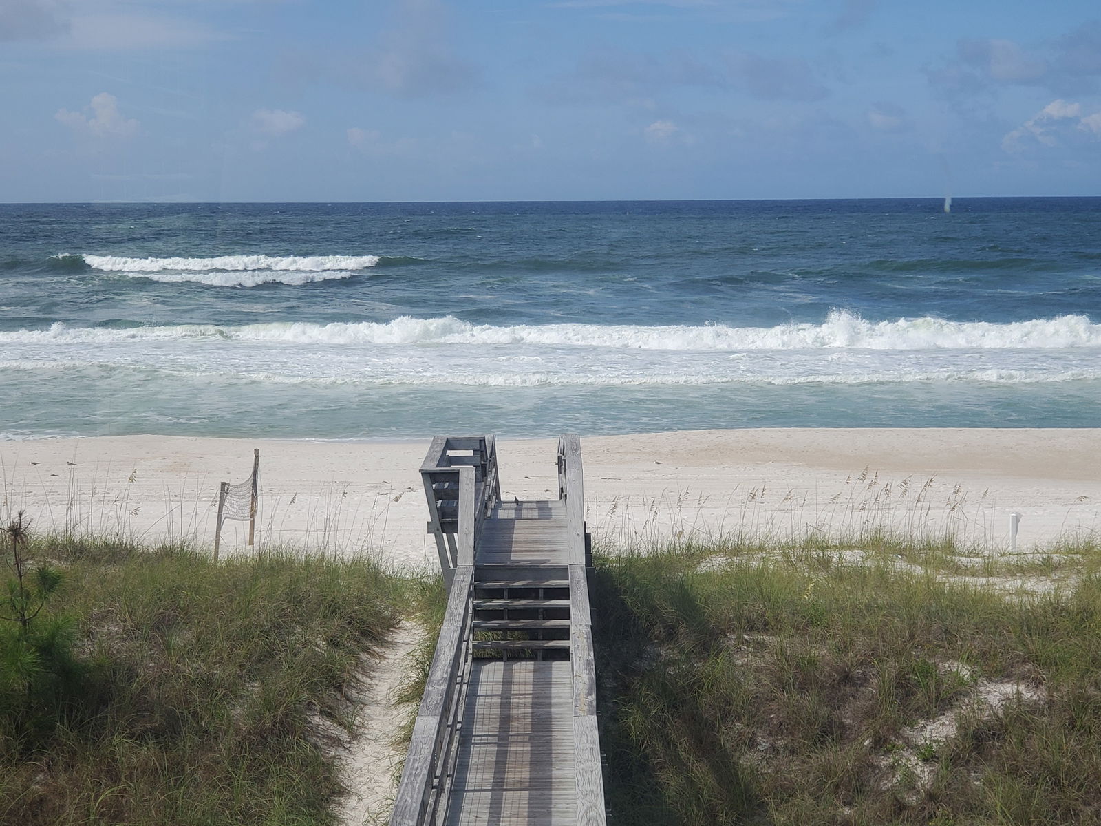 autumflowerbby photo