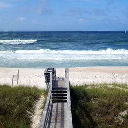 autumflowerbby photo