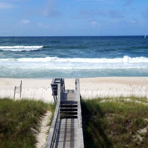 autumflowerbby photo