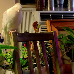 kat winterโ๏ธ photo