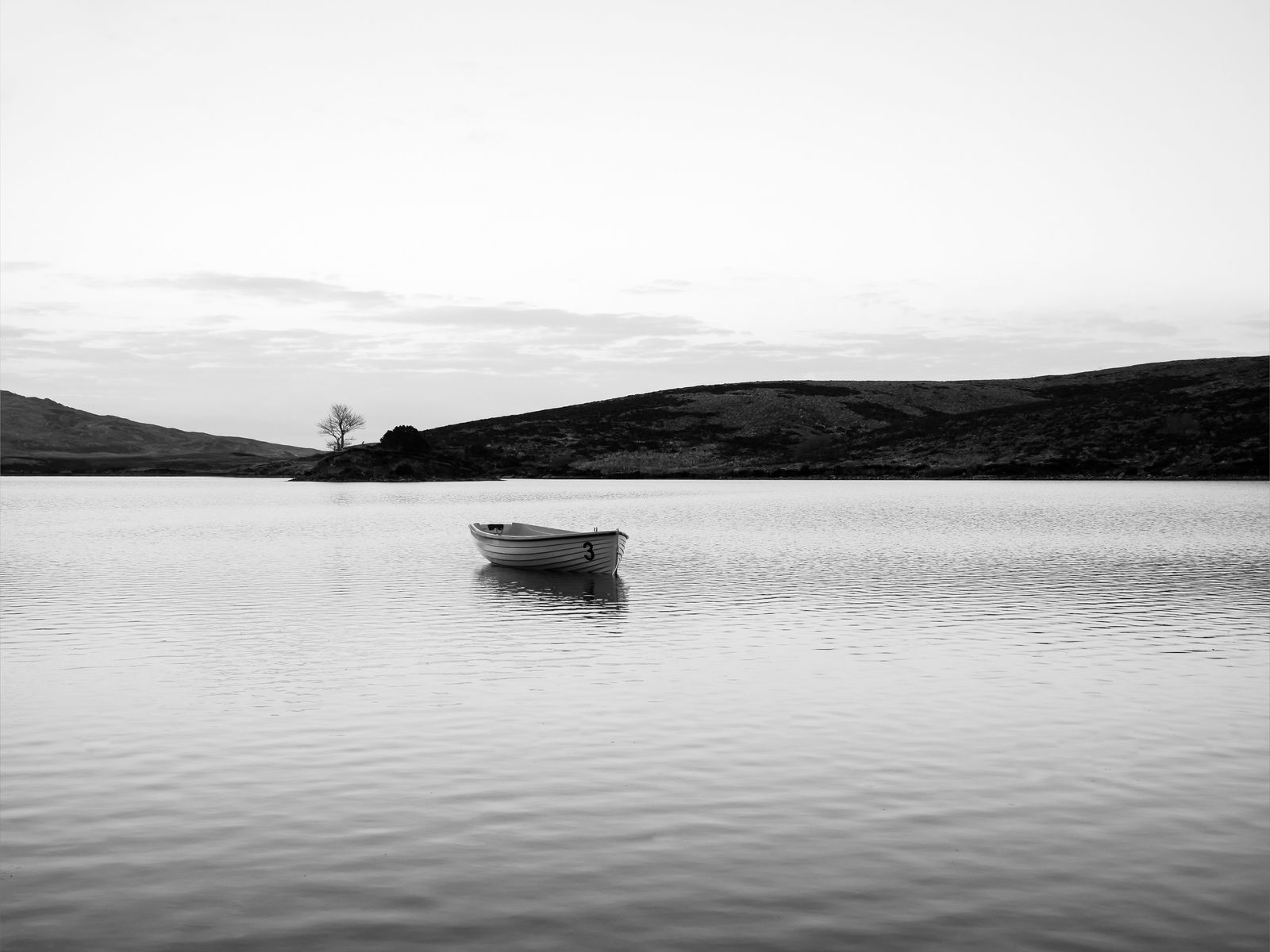 Andrew Bradley photo