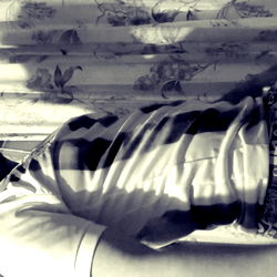 Miguel Noriega photo