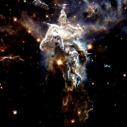 McLovinBWildin photo