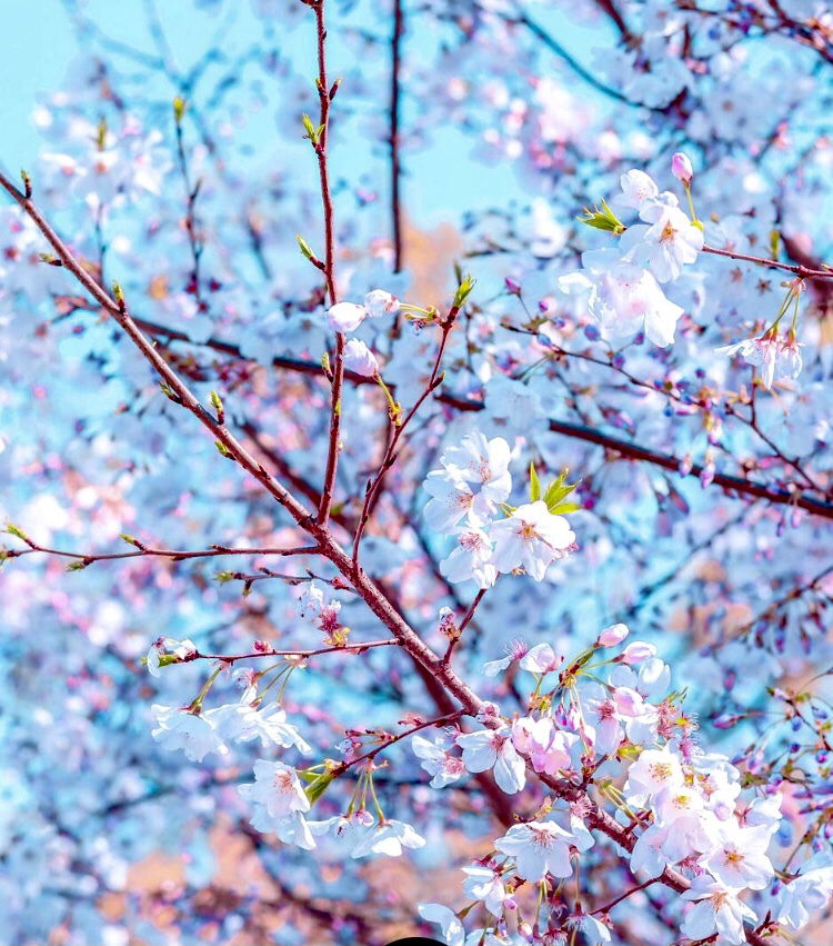 BabeMarieee 💋 photo