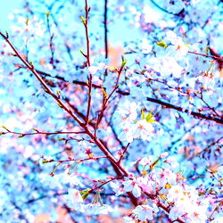 BabeMarieee ๐ photo