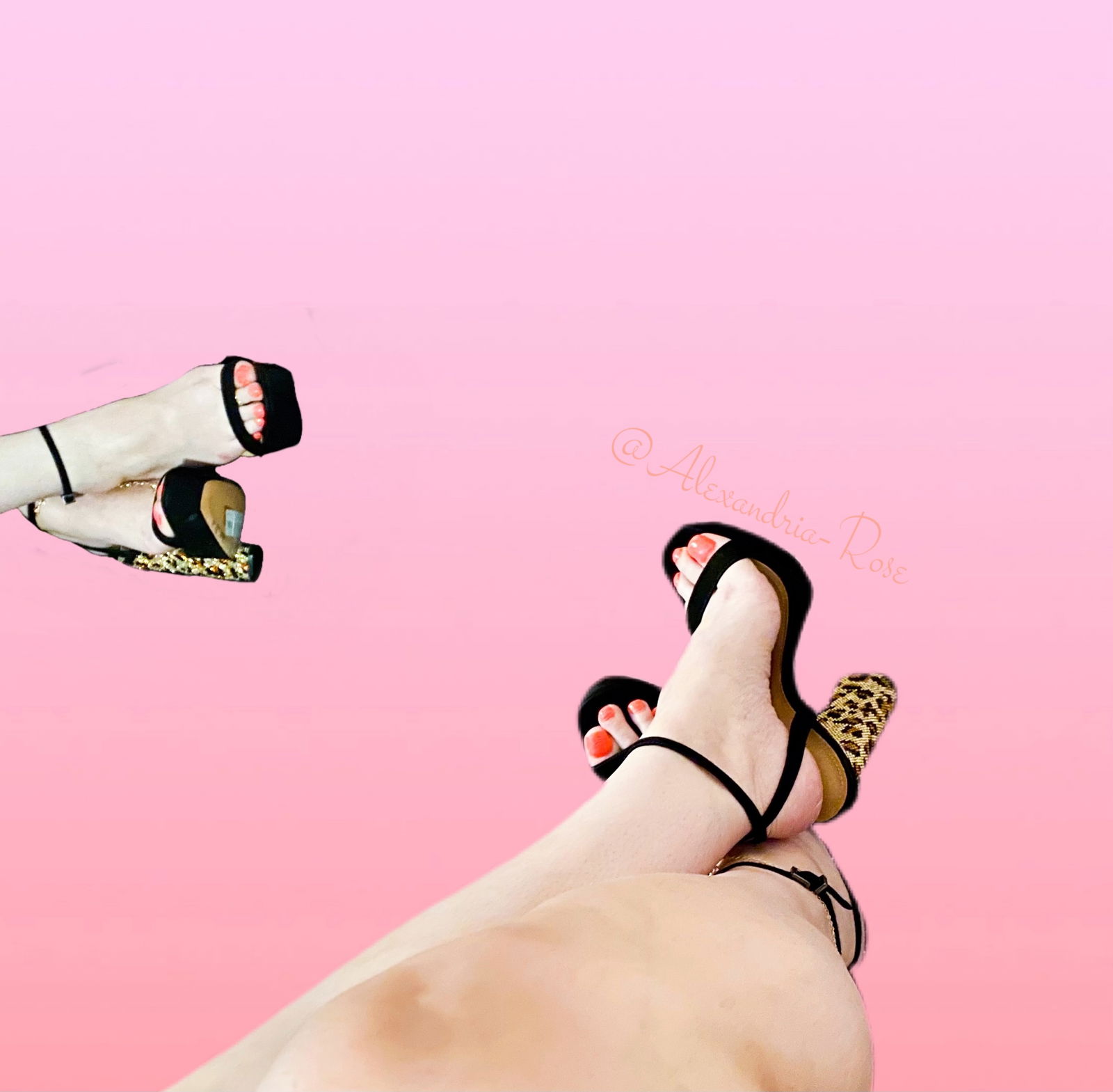 🌷Alexandria-Rose🌷 photo