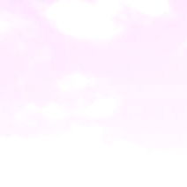 LottieRose 💜 photo