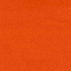 Brittany Elizabeth photo