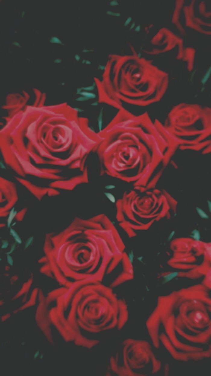 Pixie Dust (a.k.a. Lectter) photo