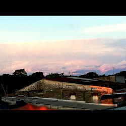 Adriana Alarcรณn photo