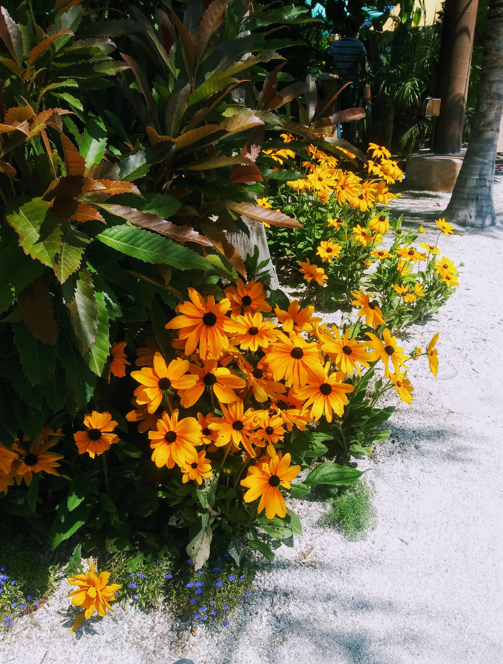 Destinee Harman photo