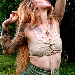 Fairy Model in a Field