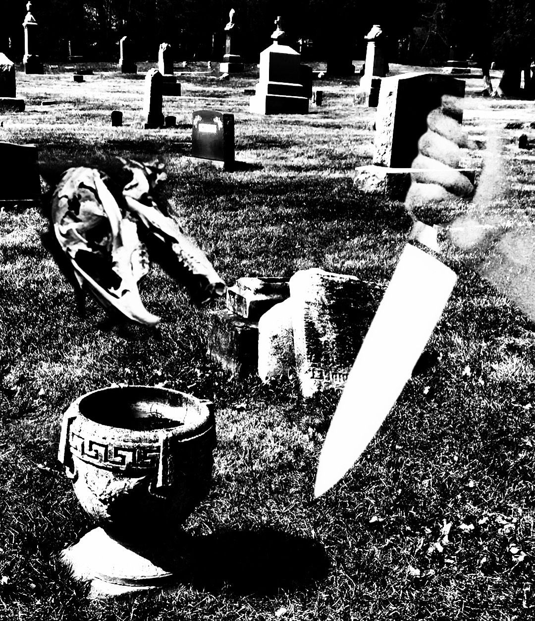 vampyrboyfriend 🧛🏻 photo