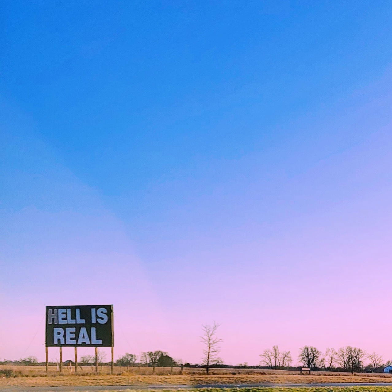 ✨amelia lee✨ photo