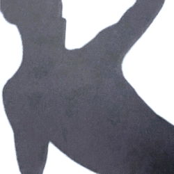 A Model Silhouette in a Shadow Play