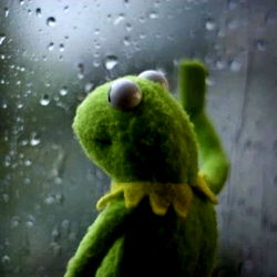 A Heartwarm Toy Story